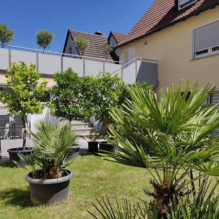 Haus Zum Schlosspark Veitshöchheim Kültér fotó